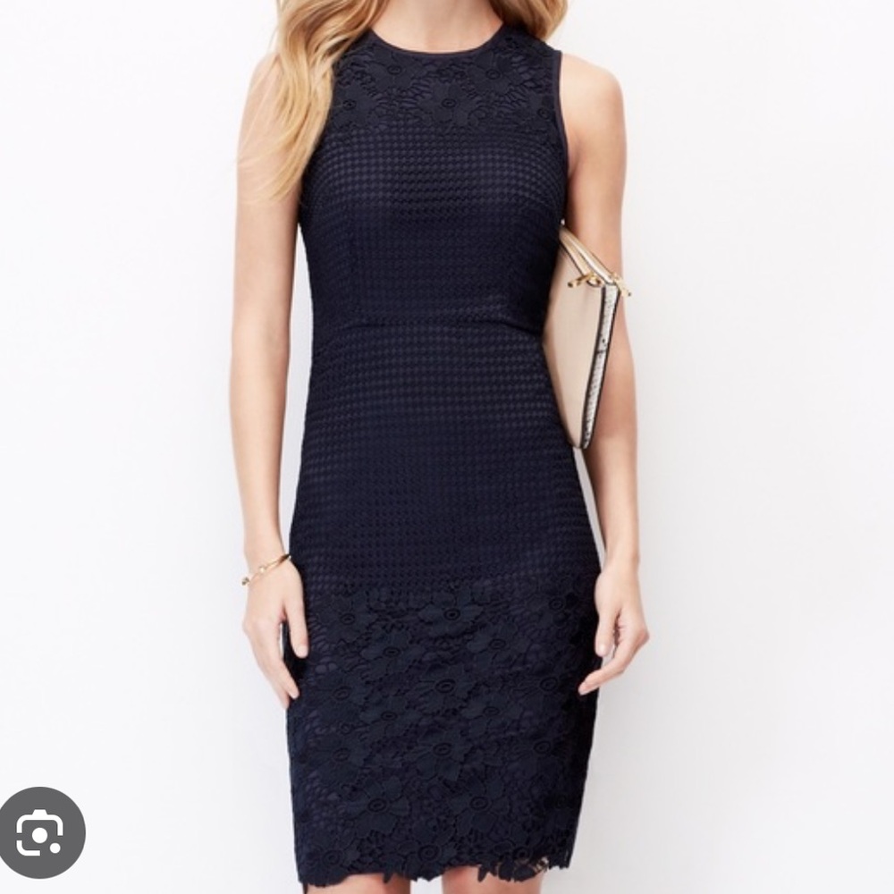 Ann Taylor Navy Dress size 8